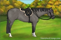 Horse Color:Grullo Roan 