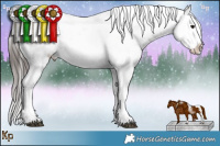 Horse Color:Brown Roan Appaloosa 