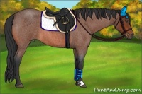 Horse Color:Bay Roan 