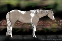 Horse Color:Silver Smoky Grullo Splash Tobiano 