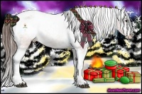 Horse Color:White Spotted Brown Sabino Appaloosa 