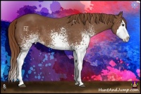 Horse Color:White Spotted Chestnut Splash