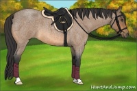 Horse Color:Buckskin Roan 