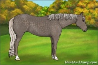 Horse Color:Silver Black 