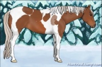 Horse Color:Silver Bay Tobiano