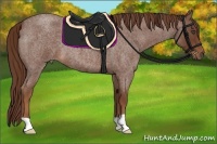 Horse Color:Red Roan 