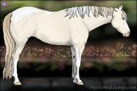 Horse Color:Perlino Dun Tobiano 