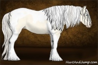 Horse Color:Cremello Dun Tobiano 
