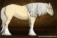 Horse Color:Palomino Dun Tobiano 
