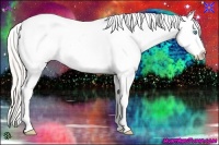 Horse Color:Silver Buckskin Ice Pearl Dun Tobiano Appaloosa 