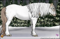 Horse Color:White Spotted Palomino Dun Tobiano Frame 