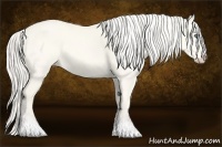 Horse Color:Cremello Dun