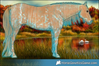 Horse Color:Thunderstruck Buckskin Ice  Brindle