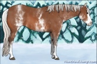 Horse Color:White Spotted Silver Bay Splash 