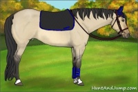 Horse Color:Buckskin Roan Dun 