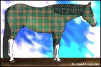 Horse Color:Plaid  Bay 
