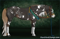 Horse Color:White Spotted Liver Chestnut Splash Rabicano 