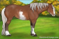 Horse Color:White Spotted Silver Bay Splash 