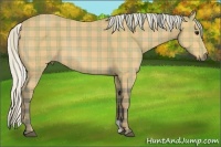 Horse Color:Plaid  Silver Bay 
