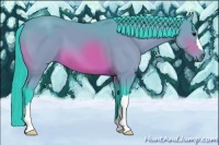 Horse Color:Watercolor Bay 