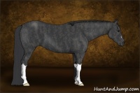 Horse Color:Black  Brindle
