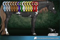 Horse Color:White Spotted Liver Chestnut Sabino 