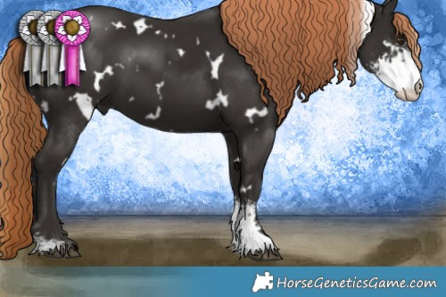 Horse Color:White Spotted Liver Chestnut Sabino 