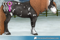 Horse Color:White Spotted Liver Chestnut Sabino 