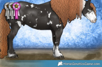 Horse Color:White Spotted Liver Chestnut Sabino 