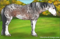Horse Color:Brown Ice Sabino