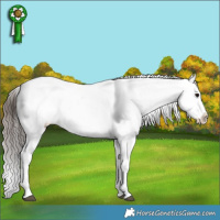 Horse Color:Brown Ice Snowflake Varnish