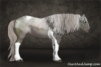Horse Color:Silver Black Sabino Tobiano