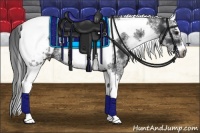 Horse Color:White Spotted Black Splash Tobiano Frame Near Leopard 