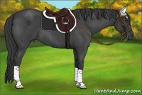 Horse Color:Blue Roan 