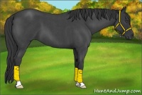 Horse Color:Blue Roan 