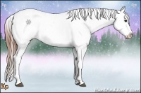 Horse Color:Bay Roan Snowflake Varnish