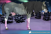 Horse Color:Black Ice Splash 