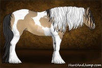 Horse Color:Buckskin Dun Tobiano 