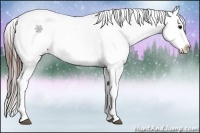 Horse Color:Brown Appaloosa