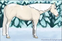 Horse Color:Cremello Splash Tobiano