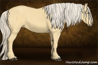 Horse Color:Palomino 