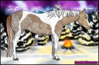 Horse Color:Chestnut Ice Sabino Tobiano Frame