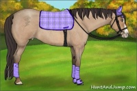 Horse Color:Amber Champagne Roan Splash 