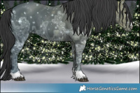 Horse Color:Black Ice  Brindle