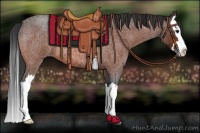 Horse Color:Bay Roan Splash Rabicano