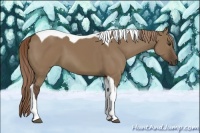 Horse Color:Liver Red Dun Tobiano