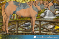 Horse Color:Black Ice  Brindle