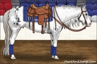 Horse Color:White Spotted Smoky Black Splash Frame Varnish 