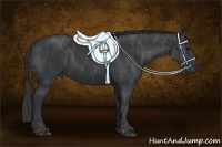 Horse Color:Black  Brindle