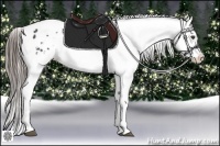 Horse Color:Black Snowflake Varnish Brindle